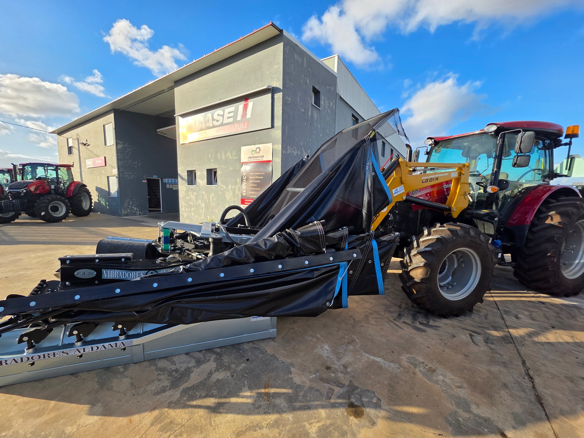 Vibrador Aldama com Pano